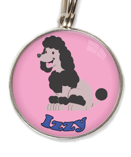 dwergpoodle-zitten-zwart-met-naam-los-huisdierpenning-lichtroos