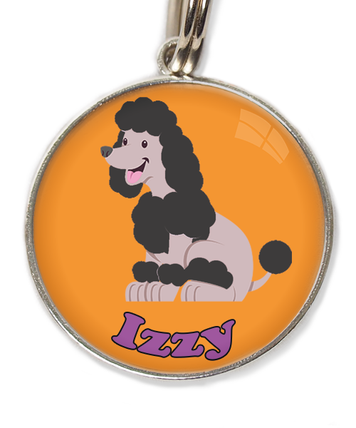 dwergpoodle-zitten-zwart-met-naam-los-huisdierpenning-oranje