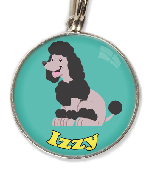 dwergpoodle-zitten-zwart-met-naam-los-huisdierpenning-turquoise