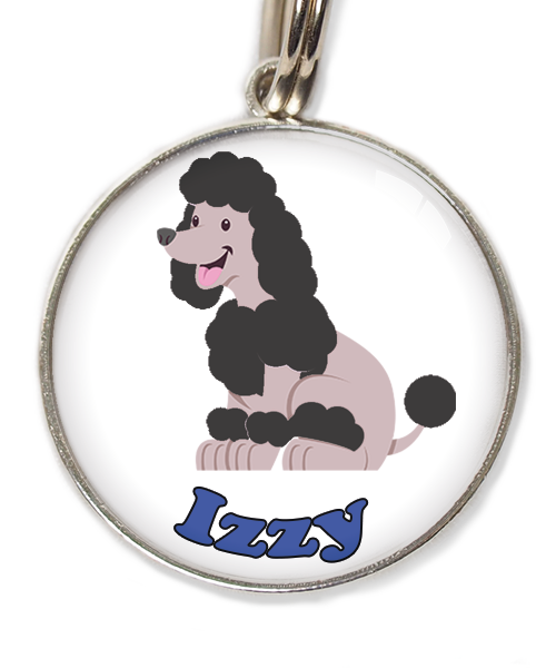 dwergpoodle-zitten-zwart-met-naam-los-huisdierpenning-wit