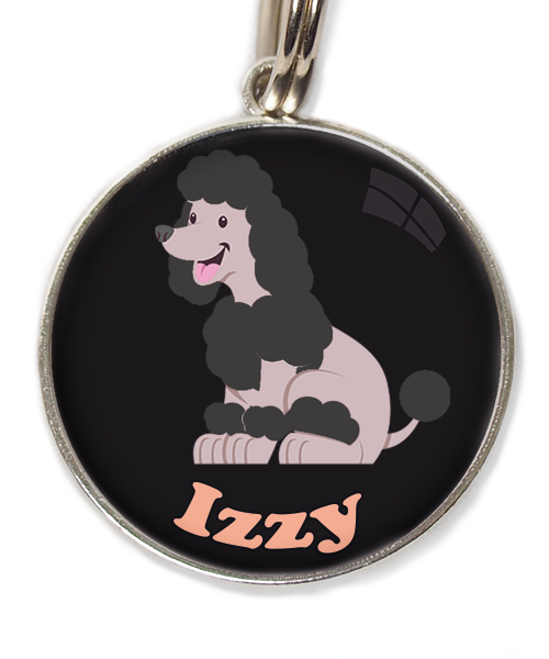 dwergpoodle-zitten-zwart-met-naam-los-huisdierpenning-zwart