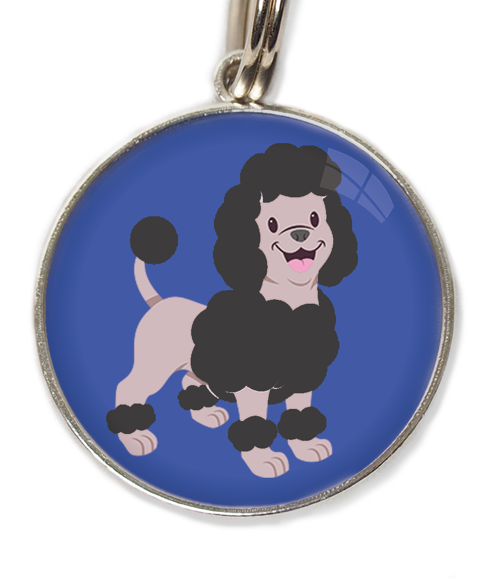 dwergpoodle-zwart-huisdierpenning-blauw