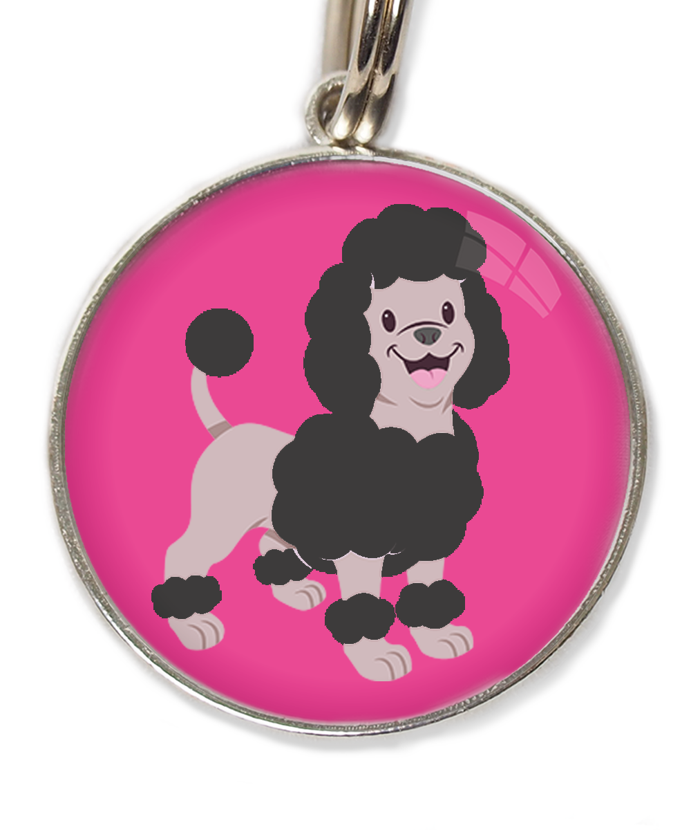 dwergpoodle-zwart-huisdierpenning-fushia