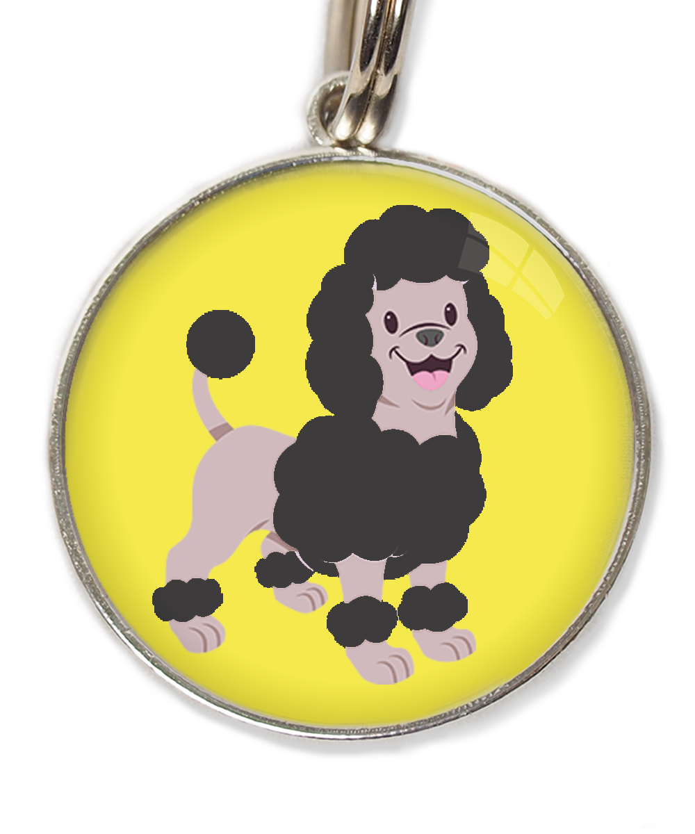 dwergpoodle-zwart-huisdierpenning-geel