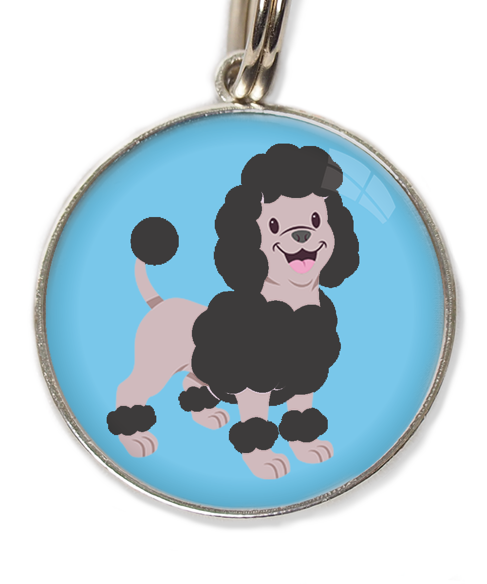 dwergpoodle-zwart-huisdierpenning-lichtblauw