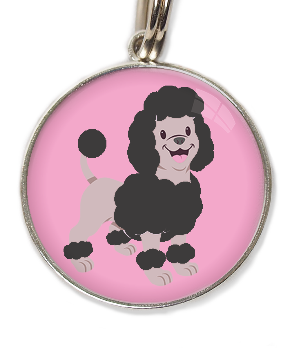 dwergpoodle-zwart-huisdierpenning-lichtroos