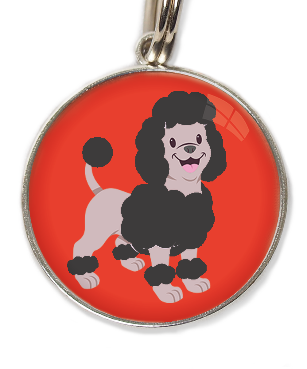 dwergpoodle-zwart-huisdierpenning-rood