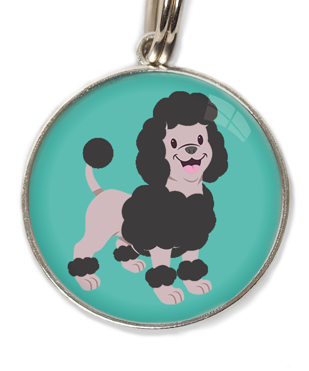 dwergpoodle-zwart-huisdierpenning-turquoise
