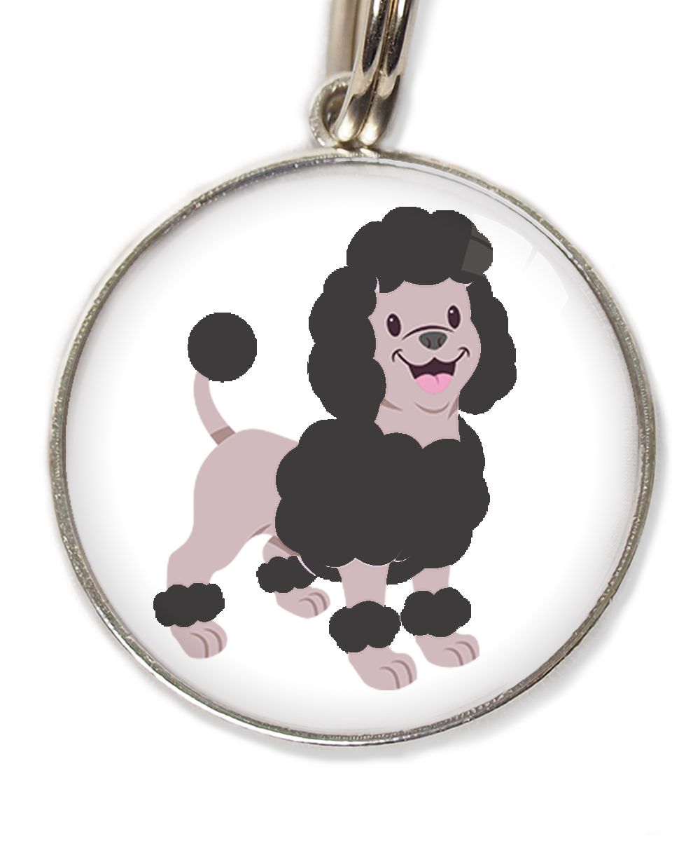 dwergpoodle-zwart-huisdierpenning-wit