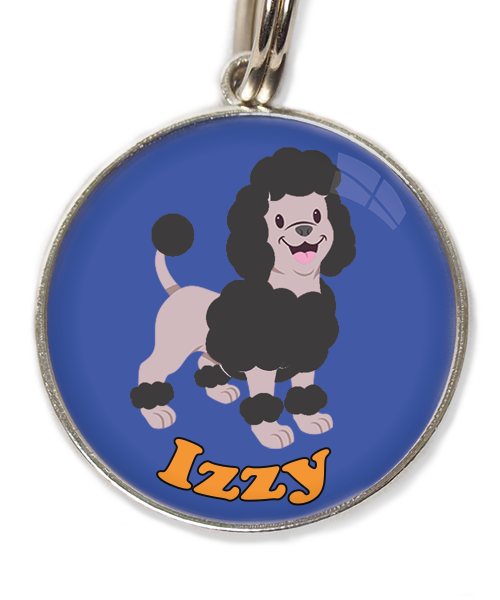 dwergpoodle-zwart-met-naam-los-huisdierpenning-blauw