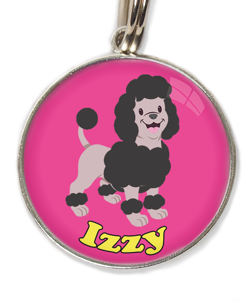 dwergpoodle-zwart-met-naam-los-huisdierpenning-fushia