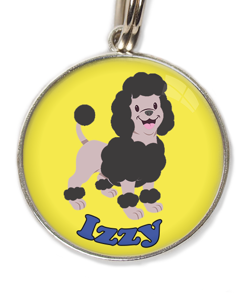 dwergpoodle-zwart-met-naam-los-huisdierpenning-geel