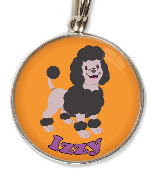 dwergpoodle-zwart-met-naam-los-huisdierpenning-oranje