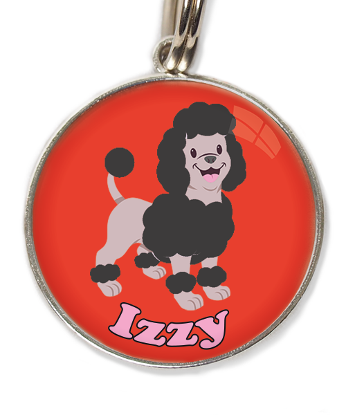 dwergpoodle-zwart-met-naam-los-huisdierpenning-rood