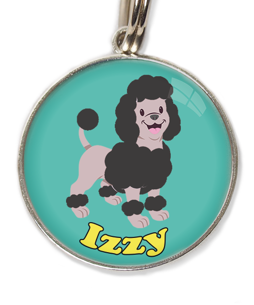 dwergpoodle-zwart-met-naam-los-huisdierpenning-turquoise