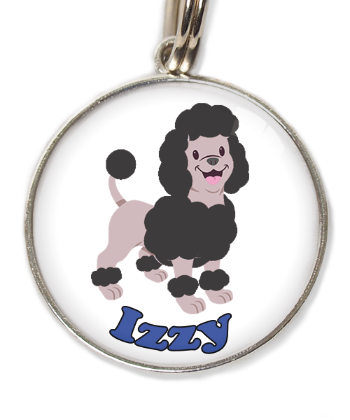 dwergpoodle-zwart-met-naam-los-huisdierpenning-wit