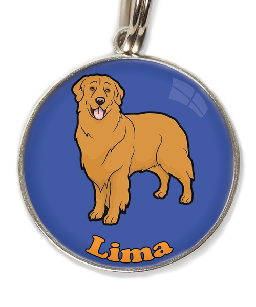 golden-retriever-orange-met-naam-los-huisdierpenning-blauw