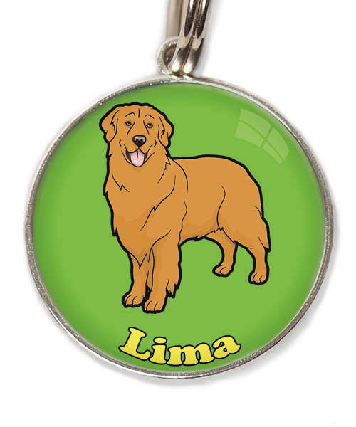 golden-retriever-orange-met-naam-los-huisdierpenning-groen