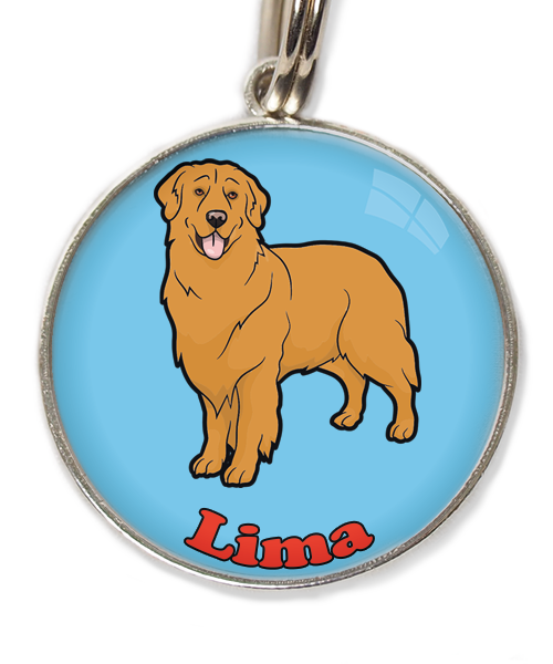 golden-retriever-orange-met-naam-los-huisdierpenning-lichtblauw
