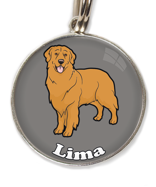 golden-retriever-orange-met-naam-los-huisdierpenning-lichtgrijs