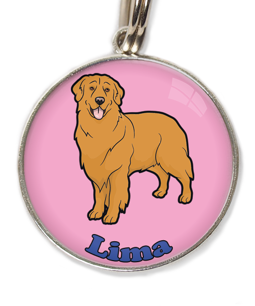 golden-retriever-orange-met-naam-los-huisdierpenning-lichtroos