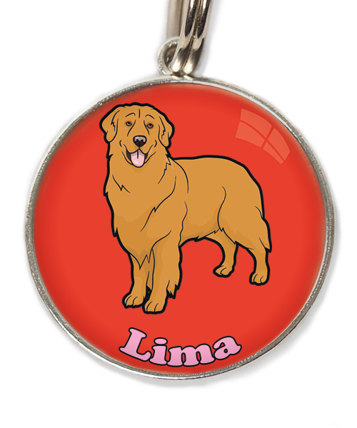 golden-retriever-orange-met-naam-los-huisdierpenning-rood