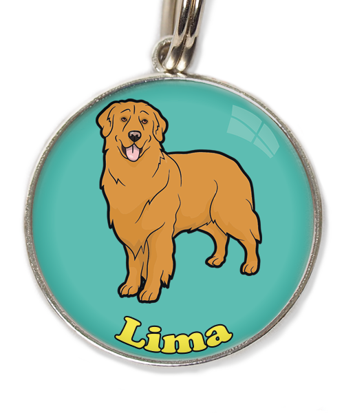 golden-retriever-orange-met-naam-los-huisdierpenning-turquoise