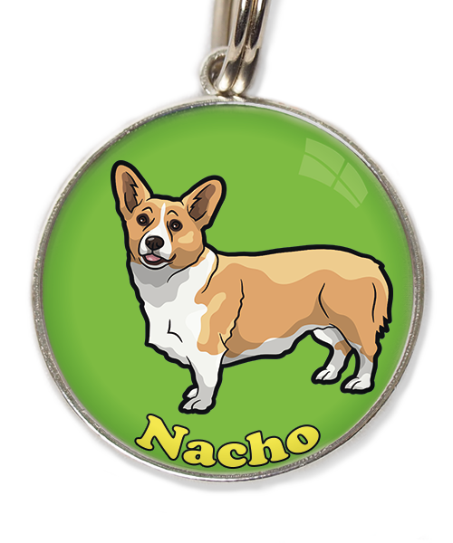 gorgi-met-naam-los-huisdierpenning-groen