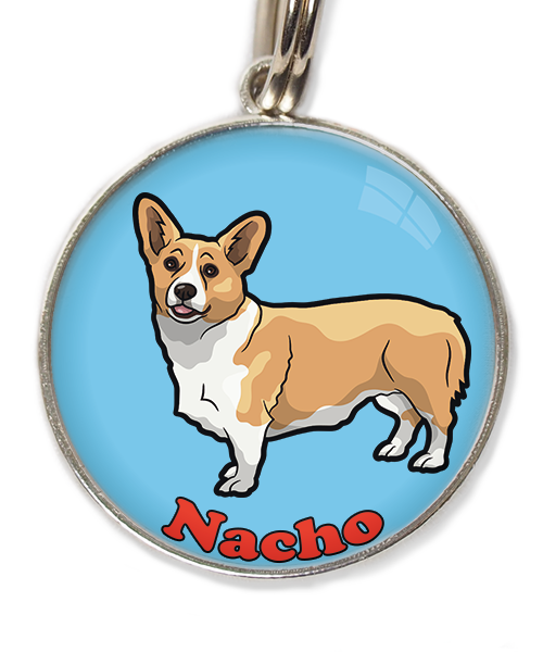 gorgi-met-naam-los-huisdierpenning-lichtblauw