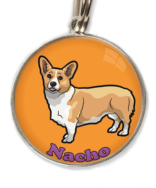 gorgi-met-naam-los-huisdierpenning-oranje