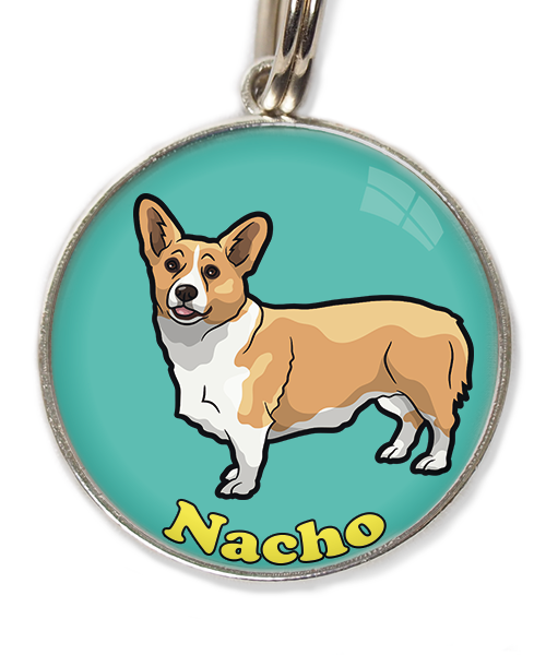 gorgi-met-naam-los-huisdierpenning-turquoise