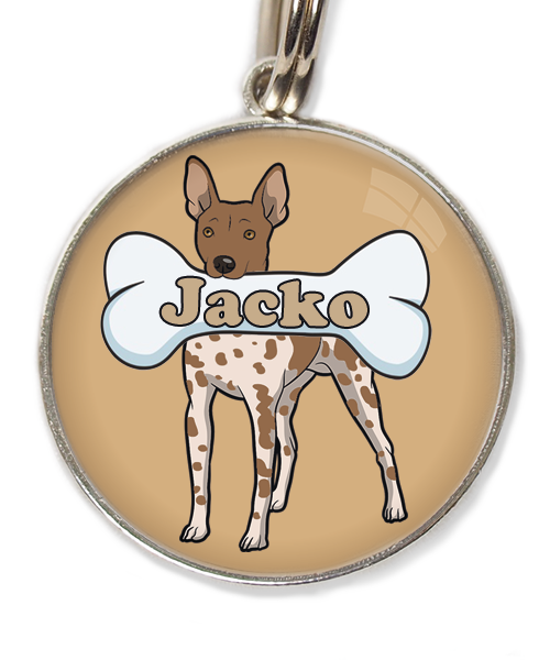 hairless-terrier-gevlekt-bruin-met-naam-been-huisdierpenning-beige