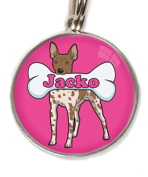 hairless-terrier-gevlekt-bruin-met-naam-been-huisdierpenning-fushia
