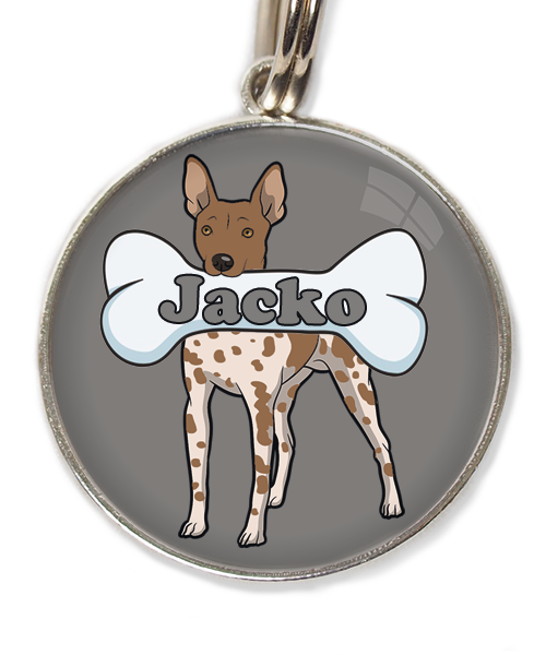 hairless-terrier-gevlekt-bruin-met-naam-been-huisdierpenning-lichtgrijs