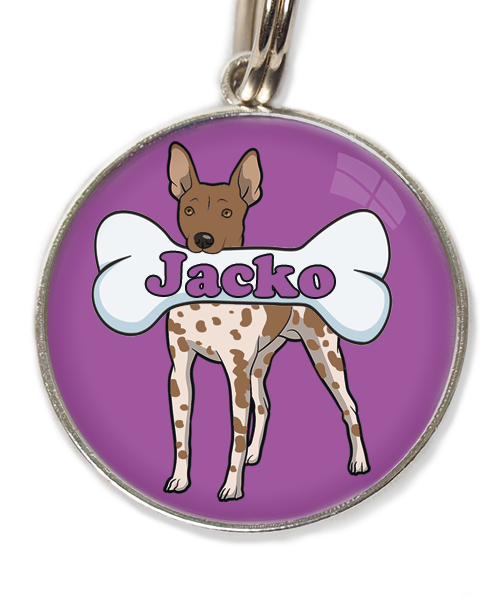 hairless-terrier-gevlekt-bruin-met-naam-been-huisdierpenning-lilla