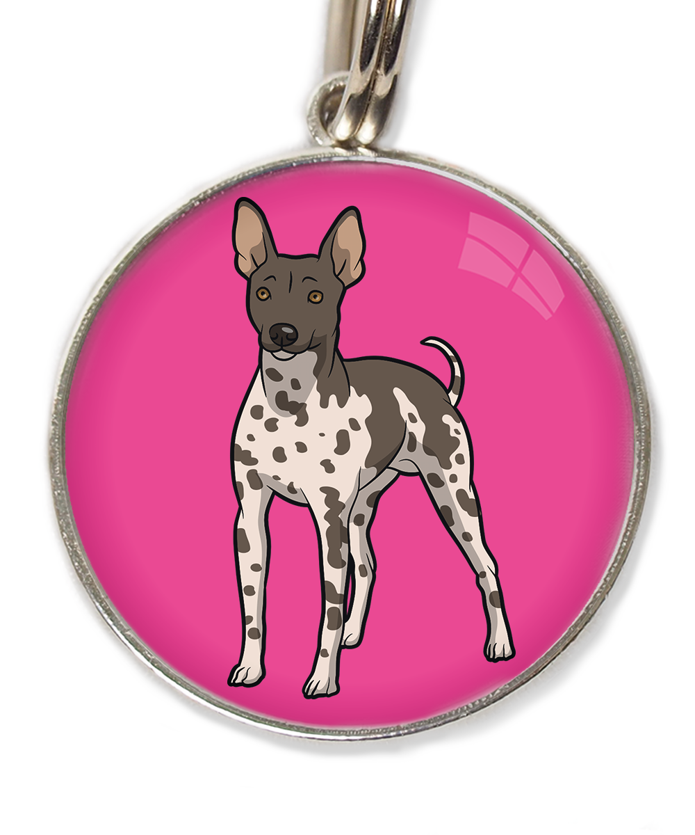 hairless-terrier-gevlekt-huisdierpenning-fushia