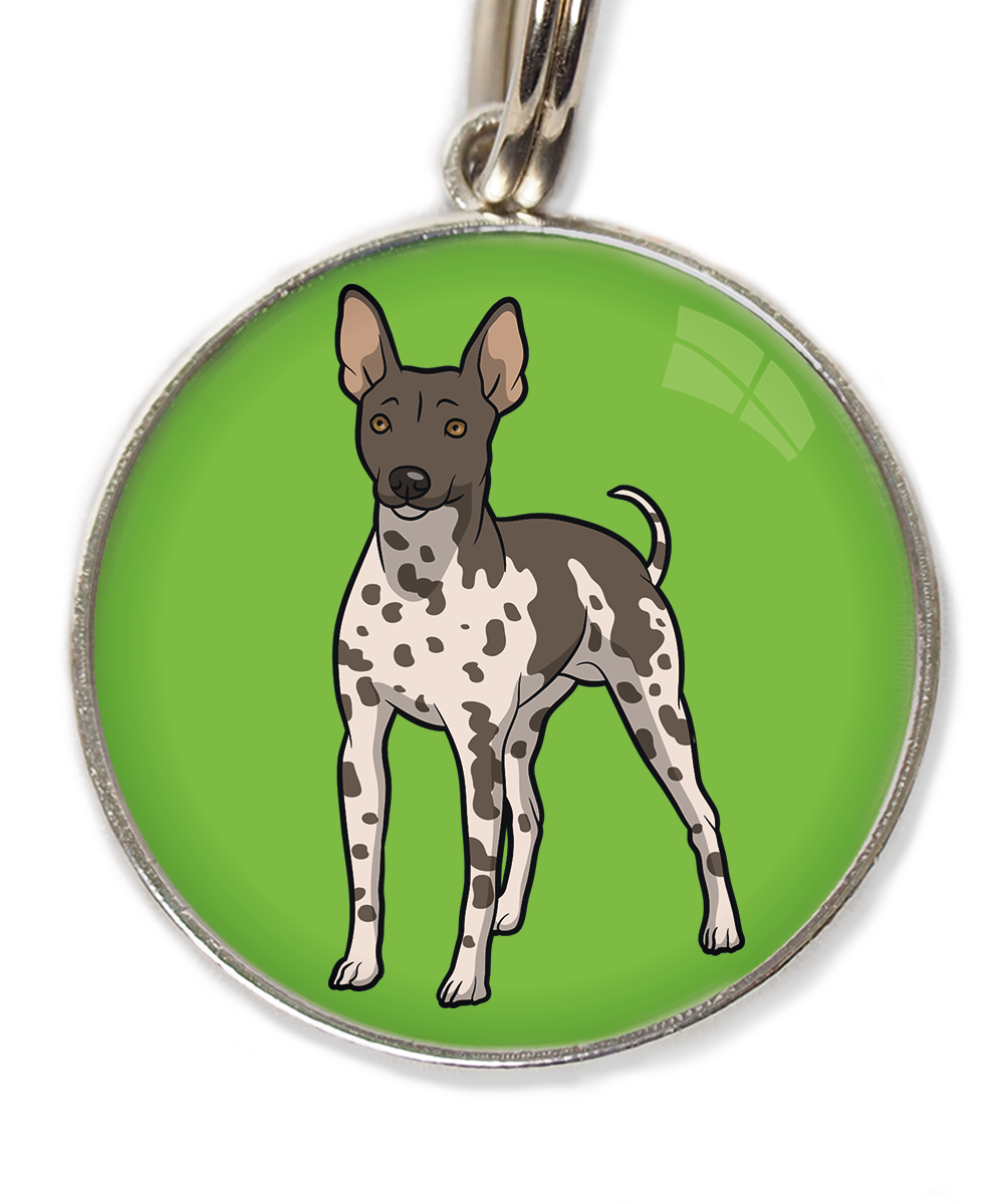 hairless-terrier-gevlekt-huisdierpenning-groen