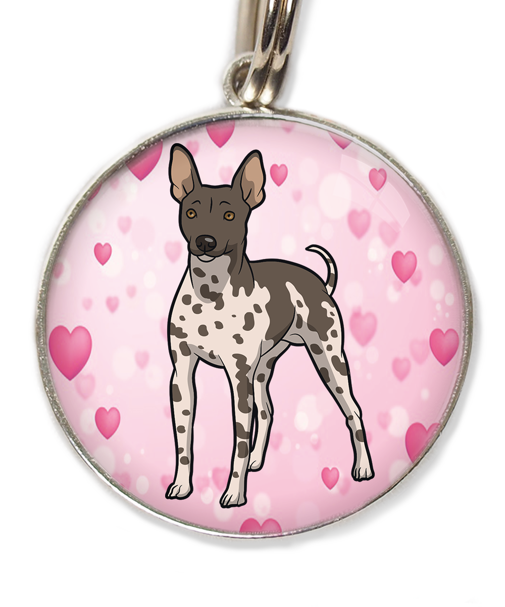 hairless-terrier-gevlekt-huisdierpenning-hartjes