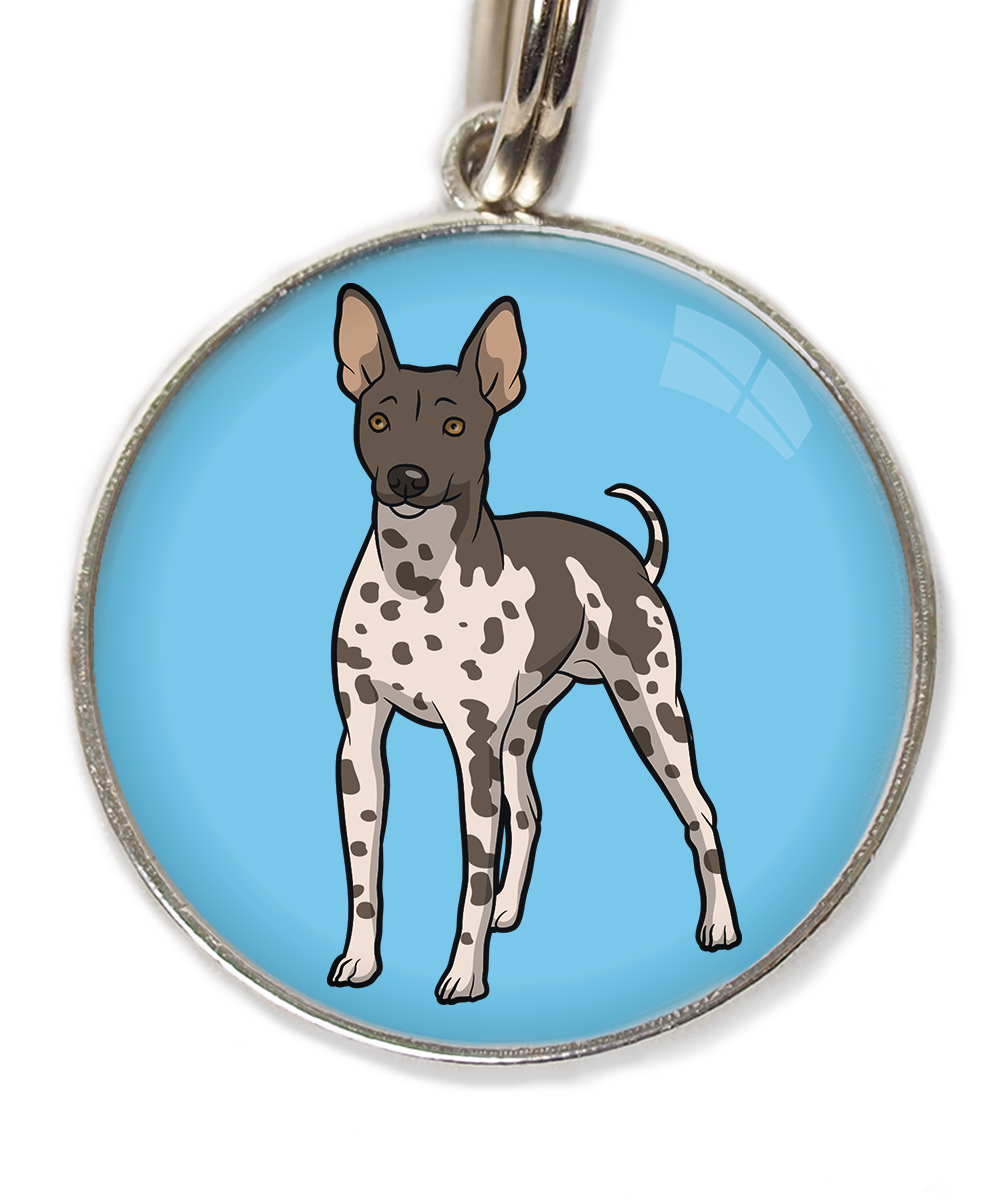 hairless-terrier-gevlekt-huisdierpenning-lichtblauw