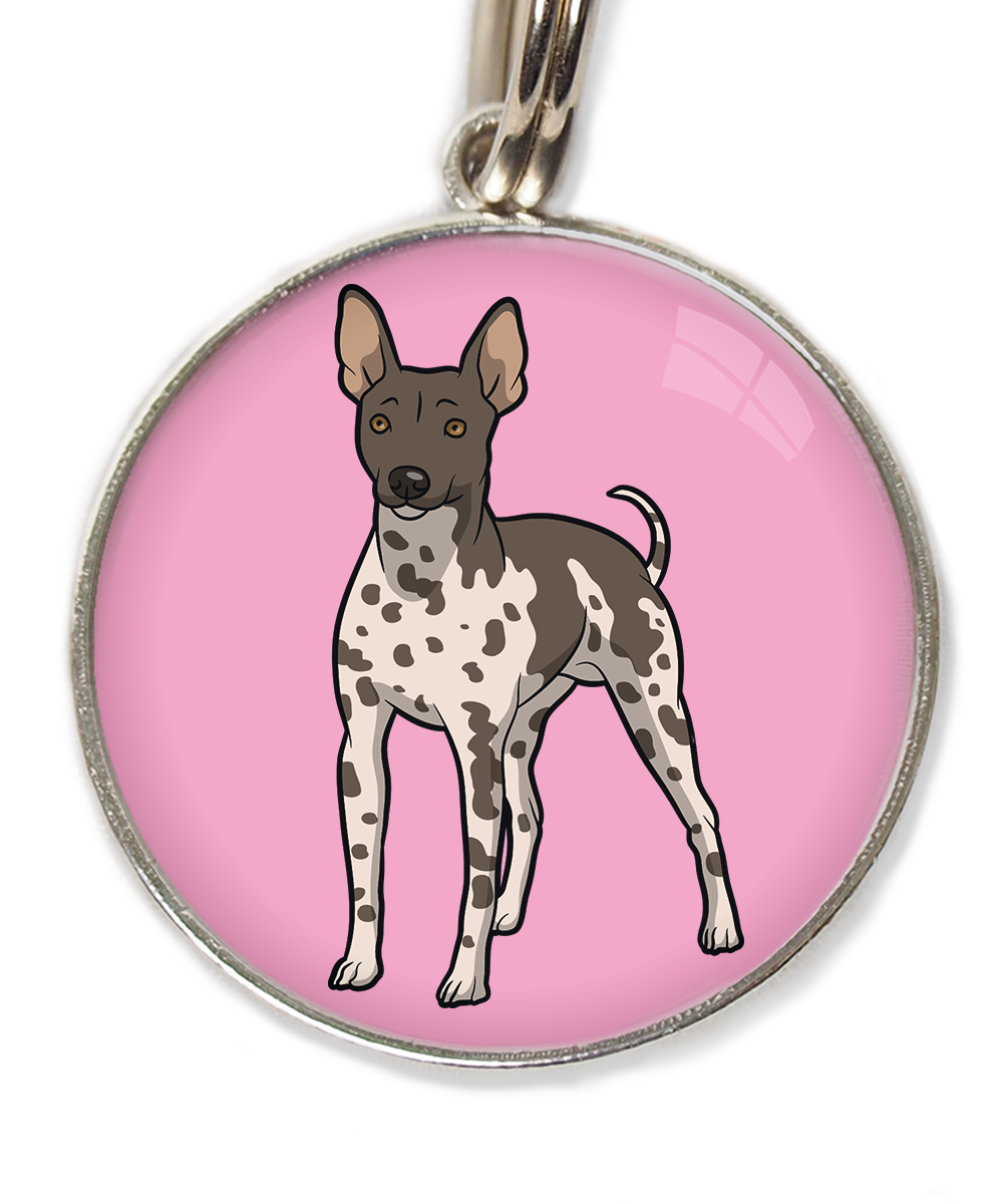 hairless-terrier-gevlekt-huisdierpenning-lichtroos