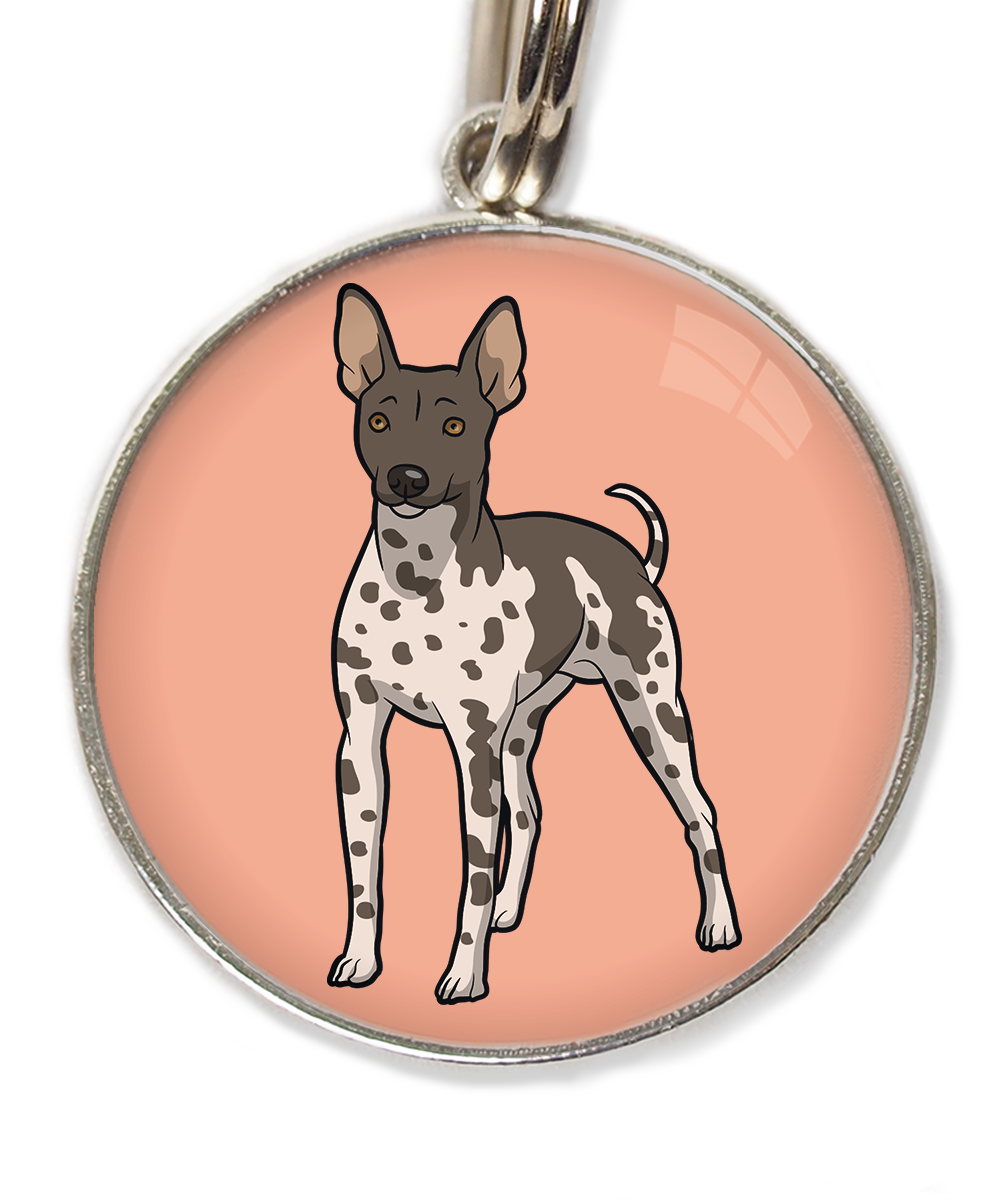 hairless-terrier-gevlekt-huisdierpenning-peach