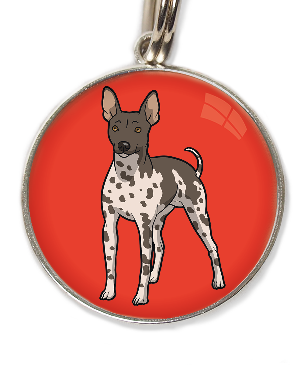 hairless-terrier-gevlekt-huisdierpenning-rood