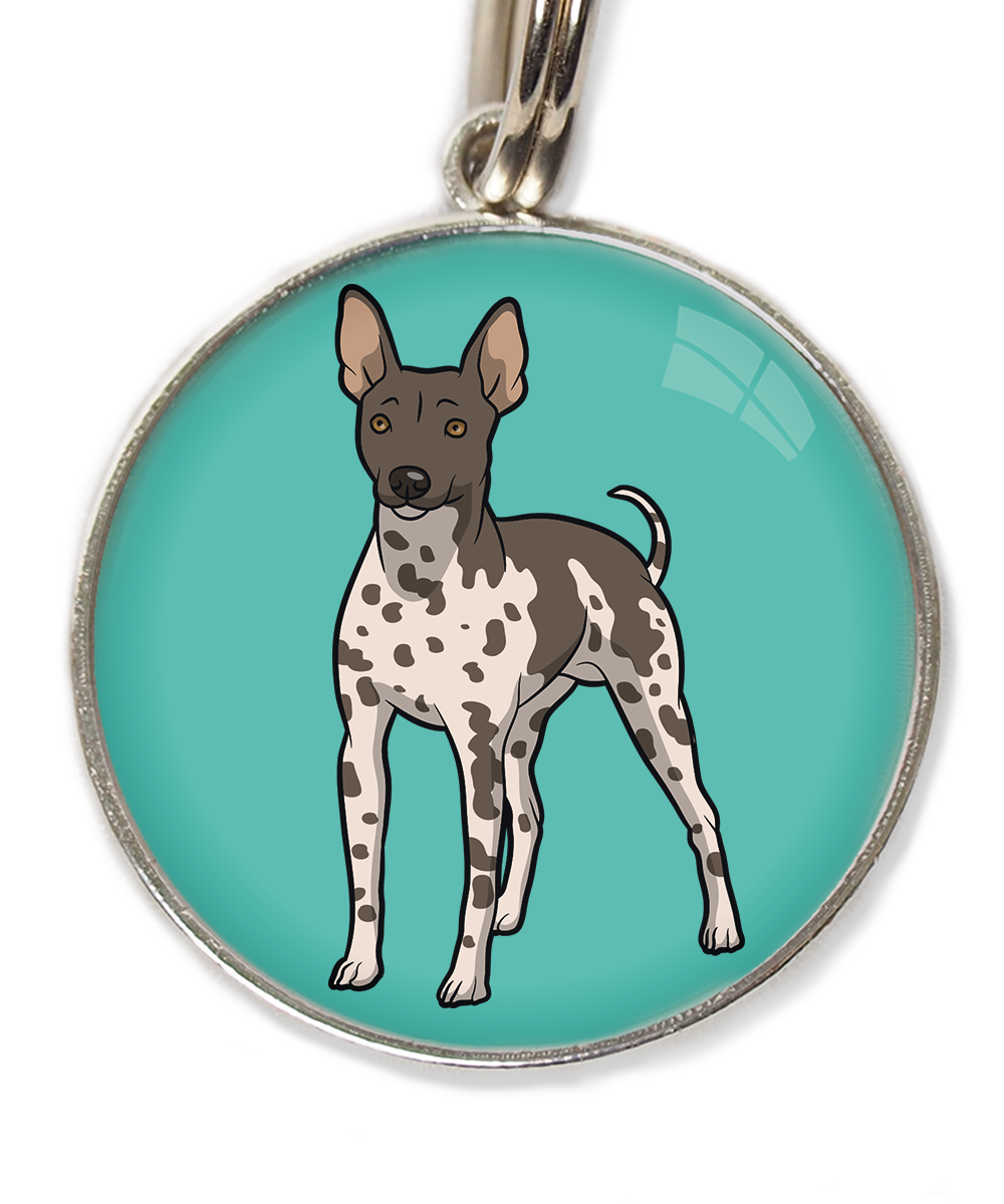 hairless-terrier-gevlekt-huisdierpenning-turquoise