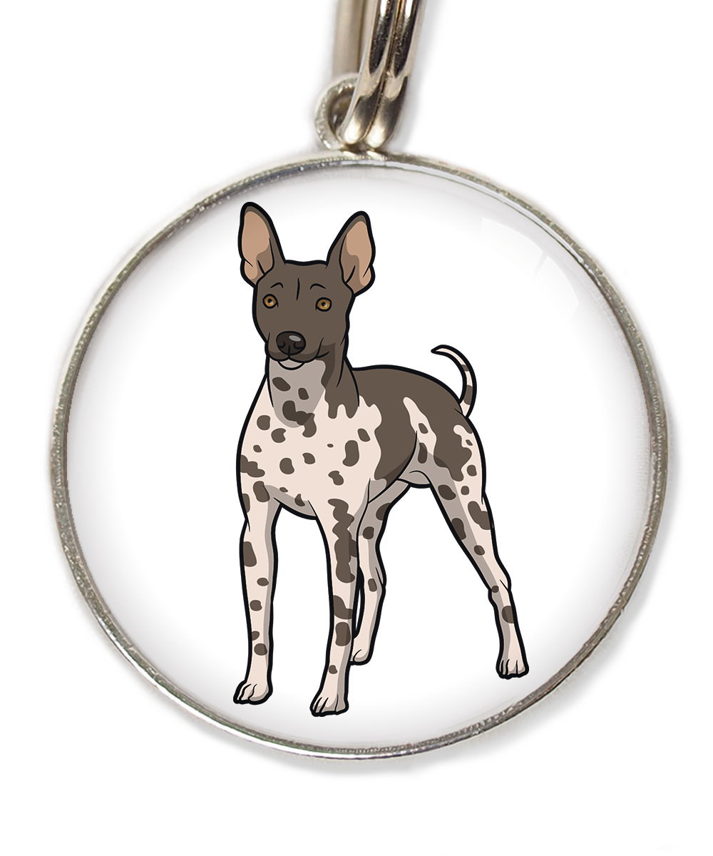 hairless-terrier-gevlekt-huisdierpenning-wit