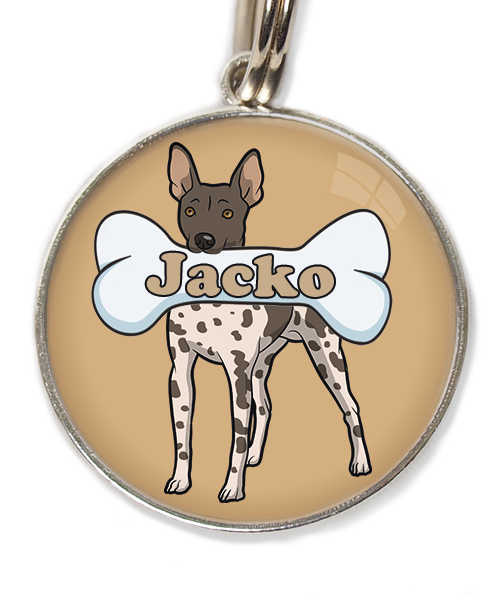 hairless-terrier-gevlekt-met-naam-been-huisdierpenning-beige