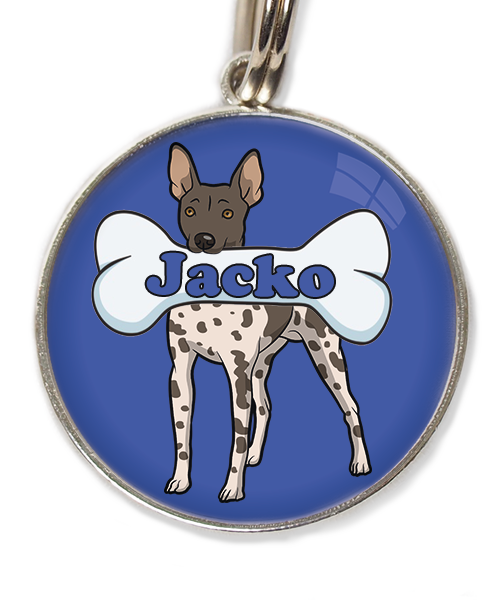 hairless-terrier-gevlekt-met-naam-been-huisdierpenning-blauw