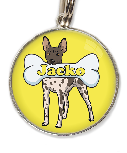 hairless-terrier-gevlekt-met-naam-been-huisdierpenning-geel