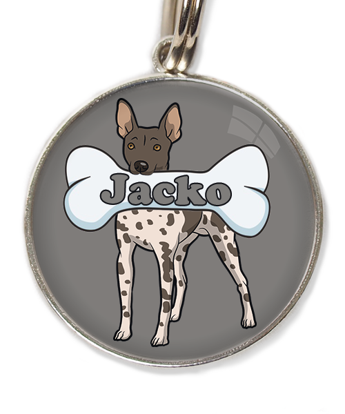 hairless-terrier-gevlekt-met-naam-been-huisdierpenning-lichtgrijs