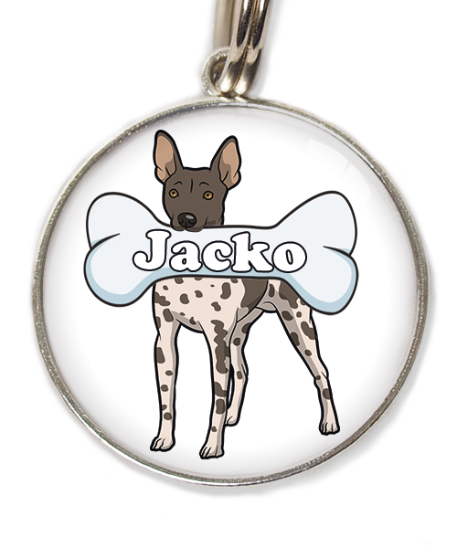 hairless-terrier-gevlekt-met-naam-been-huisdierpenning-wit