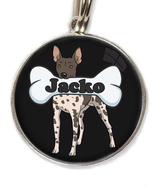 hairless-terrier-gevlekt-met-naam-been-huisdierpenning-zwart